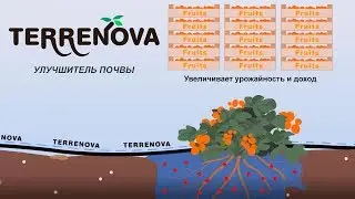 ТЕРРЕНОВА - СУПЕР УЛУЧШИТЕЛЬ ПОЧВЫ!!! TERRENOVA