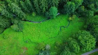 Small green valley - Northern Black Forest