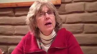 Dede-Feldman-Gov-transparency.flv