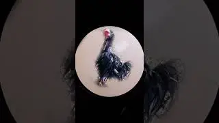 Pedro Pedro Pedro, Together with the ArtikAvicii rooster . GRAND CRIMINAL ONLINE