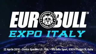 EBKC EURO BULL EXPO ITALY 2018