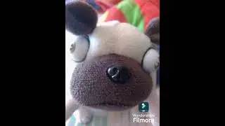 El rap de pokersito