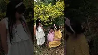 yellow apricot blossom and my family Spring 2023