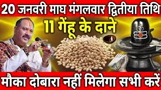 20 जनवरी माघ मंगलवार द्वितीया तिथि के दिन 11 गेंहू के दाने वाला उपाय जरुर करे || Pradeep Ji Mishra