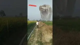 dinosaur attack video #dinosaur #shortsvideo #viral #trending #video #magic #jurassicparkmovie