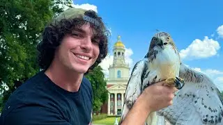 Спасение и освобождение краснохвостого ястреба (Gone 𝓕𝓻𝓮𝓪𝓴𝔂🤓👆) *Городское спасательное ранчо, пот...