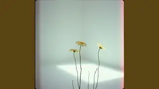 Love Is Simple