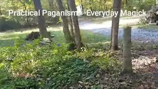 PRACTICAL PAGANISM Harvesting Monkshood