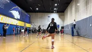 Hofstra 1