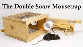 The Double Snare Mousetrap Invented By A Youtube Viewer. Mousetrap Monday