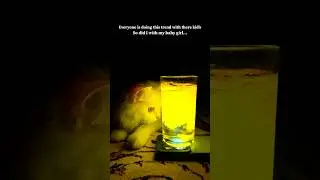 Magic moment🪄✨ #lightshow #trending #cat