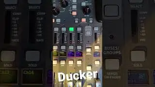 &iquest;Qu&eacute; es un Ducker? te muestro mis ajustes y para que lo utilizo