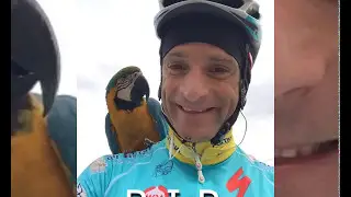 Michele Scarponi e l'amicizia col pappagallo Frankje