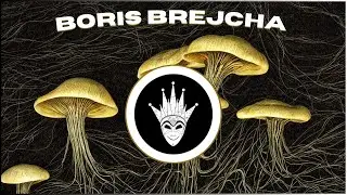 Boris Brejcha Minimal Techno Style / Signal