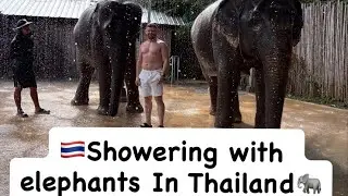 Showering with elephants in Thailand🇹🇭🐘