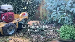 RG13 stump grinder