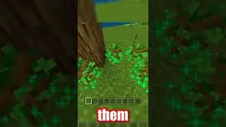 Tree Grower Addon (MCPE) Minecraft PE Mod  #minecraft #addonmcpe #mcpe #minecraftpeaddons #vatonage