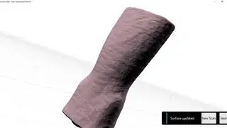Brace Scanning Test
