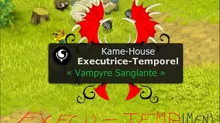 petite agro vs anges [DOFUS PVP TBL]