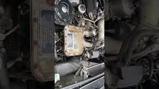 1978 RR Silver Shadow II - engine view/ running