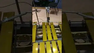 That&rsquo;s what the composer wanted🤷 #vibraphone #weird #percussion