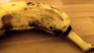 Big Spider Pops Out Banana