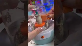Make It Real Mini Pottery Studio #mini #pottery #asmr