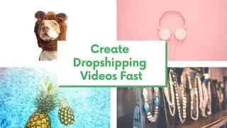 Animoto Review: Create Dropshipping Videos Fast