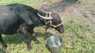 Blog no 1 ram chavan