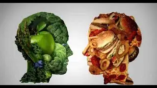 The 10 Worst Foods For Your Brain   What Not To Eat