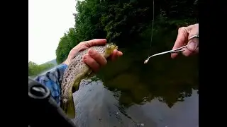 Trout Fishing Kettle Creek (Clinton County, PA)