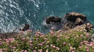 Summertime (Official Music Video)