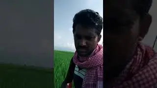 Rytu   bidda