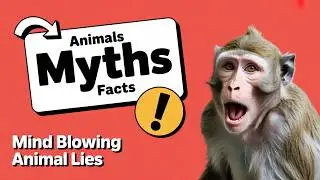 DEBUNKING Animal Myths You Thought Were True