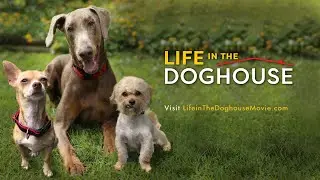 Life in the Doghouse : Two Men. One Mission. 10,000 Lives.