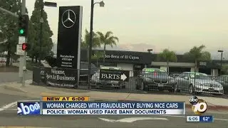 Woman Charged with Fraudulently Buying Nice Cars