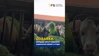 Новая статья! ПОДКИСЛИТЕЛИ И ПОЛИМЕРЫв кормах для КРС: зачем и как применять