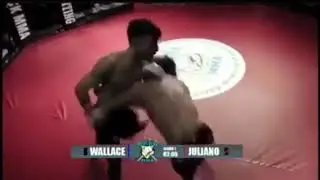 Wallace 2018 MMA Highlights