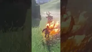 Zelda:Tears of the kingdom Link vs bokoblin