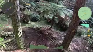 Donkey Kong Trail at Riverhead Forest
