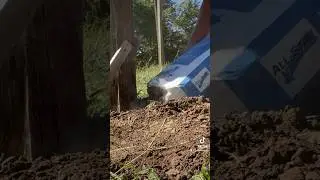 Greenhouse is officially started! #greenhouse #homesteading #homesteaddreams