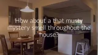 Master Odor Removal | Professional Odor Removal Service