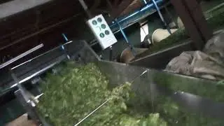 Stesalit Weigh Feeder