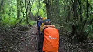 The trek to Mandara hut, Kili day 1