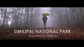 Travel Similipal National Park in Cinematic HD