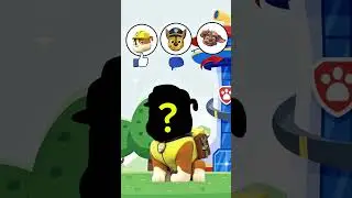 Wrong eyes paw patrol