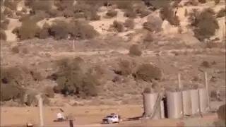Desert Creature