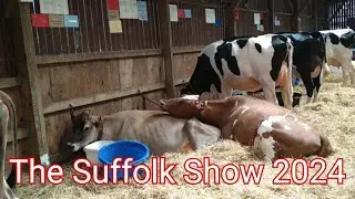 The Suffolk Show 2024