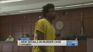 Noon: murder suspect in court