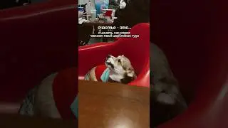Лакомство к зубам прилипло 😆